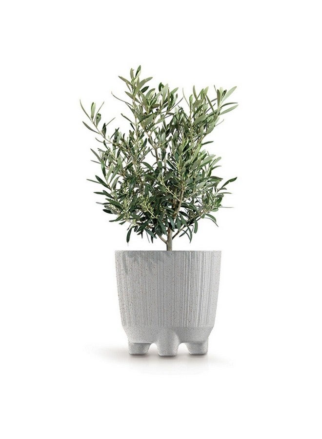 Prosperplast Durable and Eco-Friendly Ryfo N Eco Wood Flower Pot White 2.5 L DRF170NW-S449W - Image 2